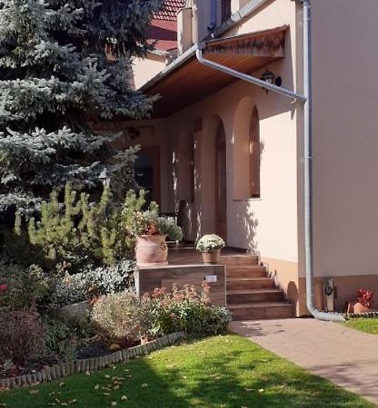 Kenguru Panzio Hotel Hodmezovasarhely Exterior photo