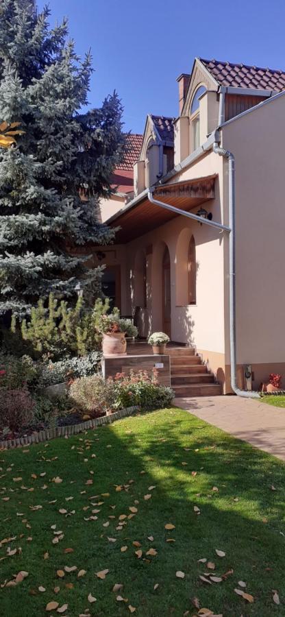 Kenguru Panzio Hotel Hodmezovasarhely Exterior photo